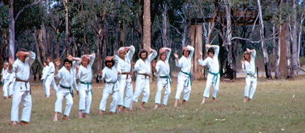 Karate Training